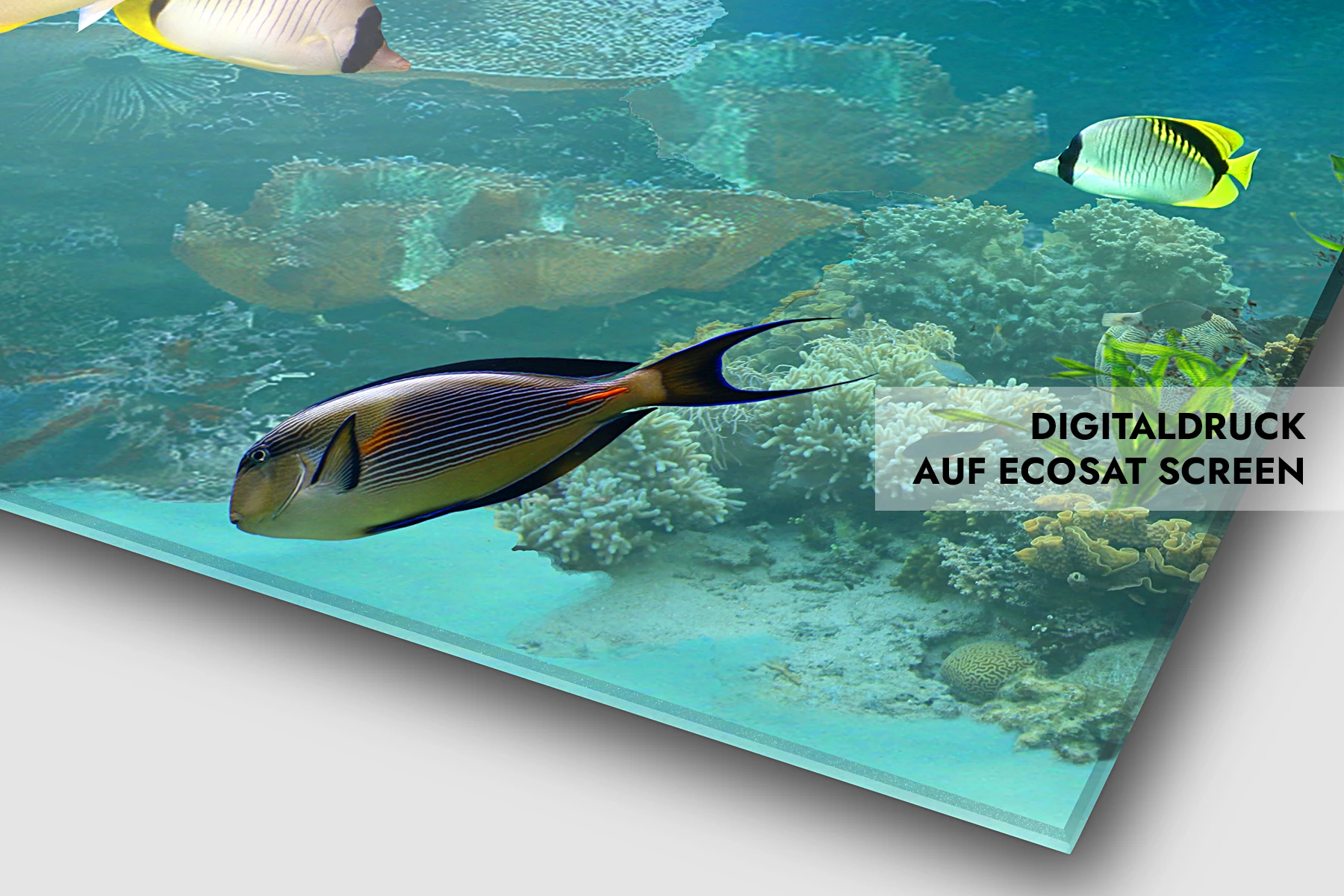 Digitaldruck auf Ecosat Screen